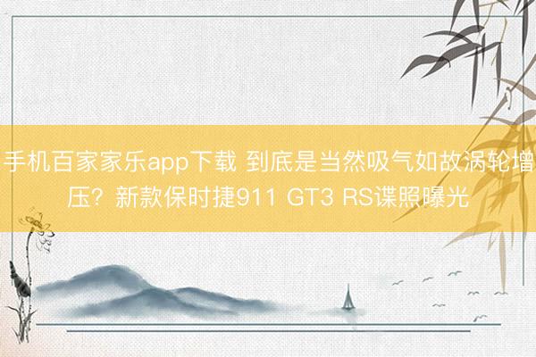 手机百家家乐app下载 到底是当然吸气如故涡轮增压？新款保时捷911 GT3 RS谍照曝光