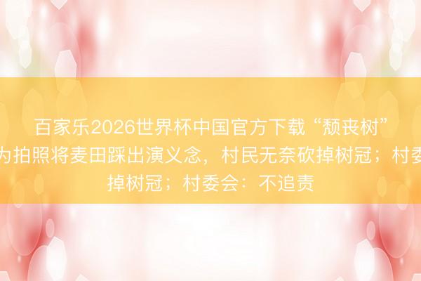 百家乐2026世界杯中国官方下载 “颓丧树”走红，搭客为拍照将麦田踩出演义念，村民无奈砍掉树冠；村委会：不追责