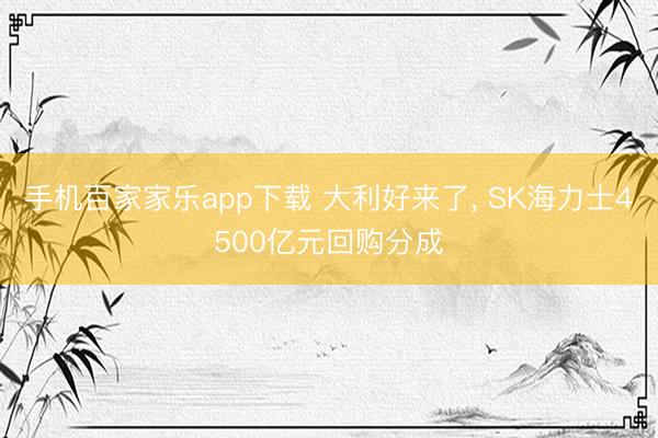 手机百家家乐app下载 大利好来了， SK海力士4500亿元回购分成